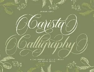 Carista Calligraphy font