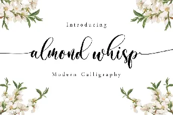 Almond Whisp Modern Calligraphy font