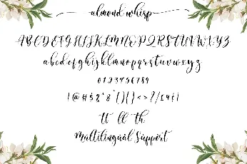 Almond Whisp Modern Calligraphy font