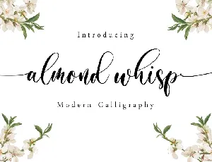 Almond Whisp Modern Calligraphy font