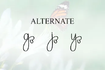 Butterfly Script font