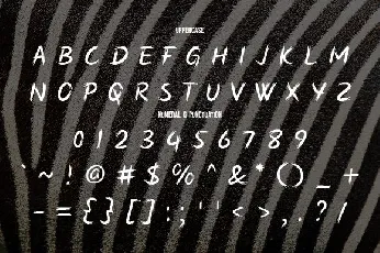 Zebra Brush font