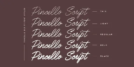 Pincello Script font