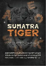 Sumatra Tiger font