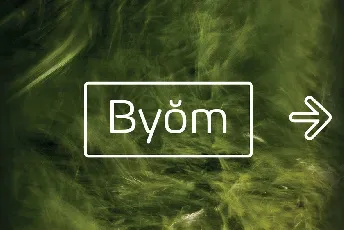 Byom font