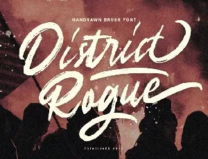 District Rogue font