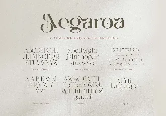 Negaroa font