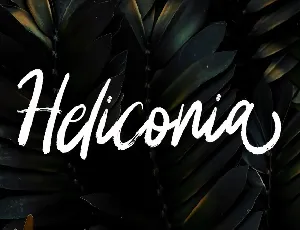 Heliconia font