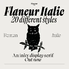Flaneur Family font