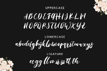 Larissa Clarra font