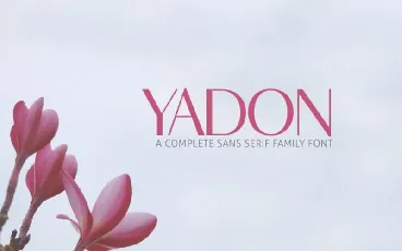 Yadon Sans Serif font