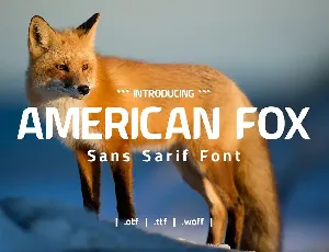 American Fox font