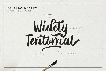 Briberra Script font