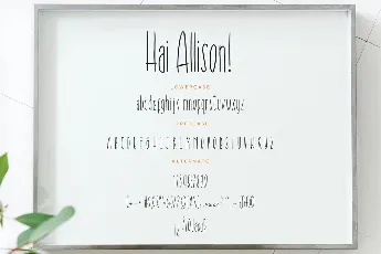 Hai Allison font