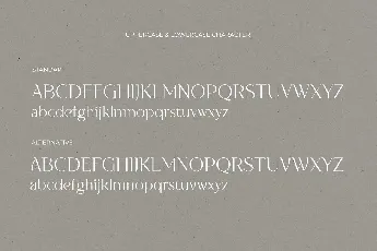 NT Vanilla font