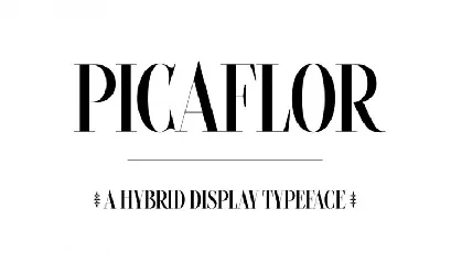 Picaflor font