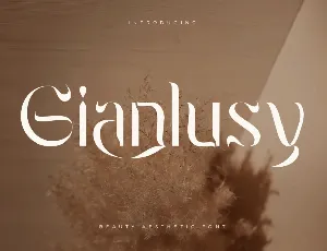 Gianlusy font