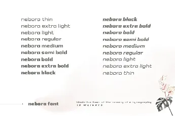 Nebora font