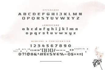 Nebora font