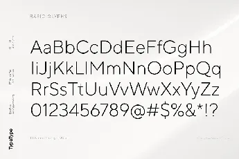 TT Norms Pro font