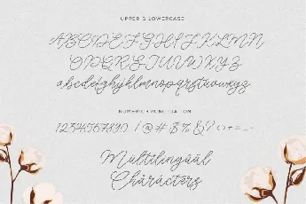 Cotton Fields font