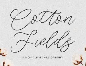 Cotton Fields font