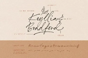 Annette Bradford Ballpoint Signature Script font