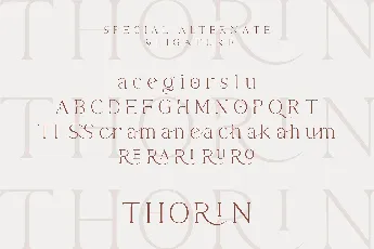 Thorin font