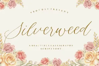 Silverweed Beautiful Calligraphy Script font