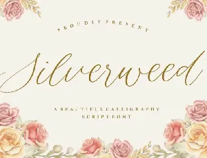 Silverweed Beautiful Calligraphy Script font