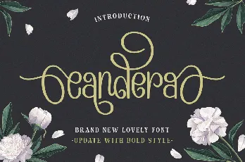 Candera font