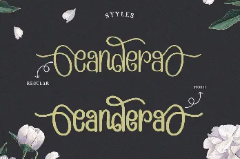 Candera font