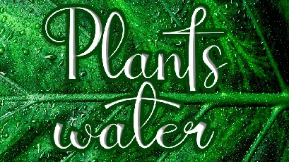 Plants Water font