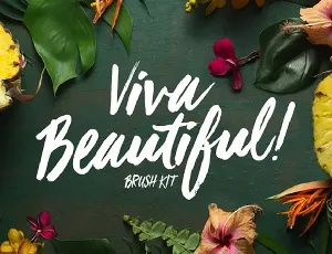 Viva Beautiful font