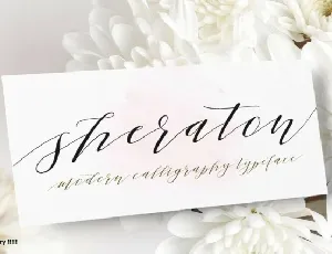 Sheraton Script font