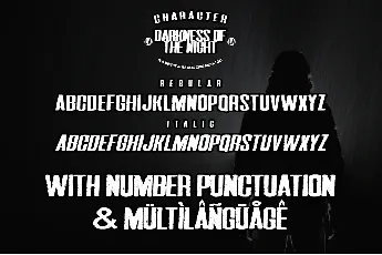 Darkness of the night font