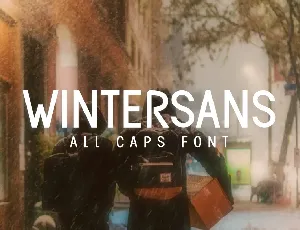 Wintersans font