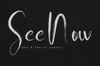 See Now font