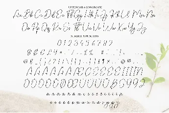 Beautyspa font