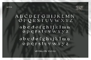 Black Echo font