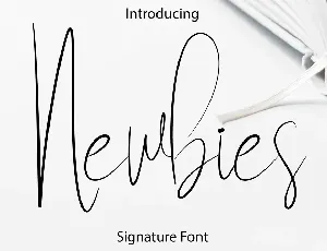 Newbies font