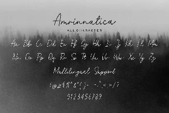 Amrinnatica font