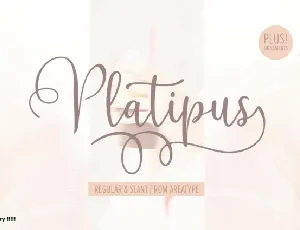 Platipus Script font