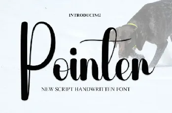 Pointer Script font