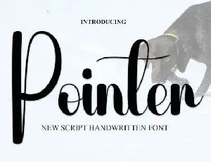 Pointer Script font