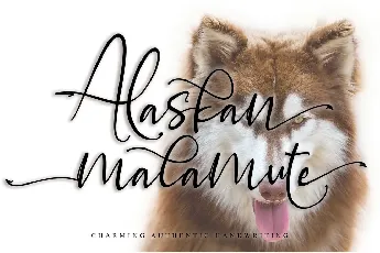 Alaskan malamute font