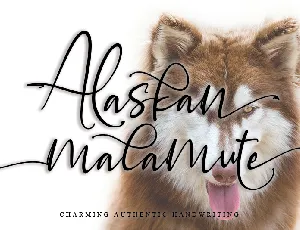 Alaskan malamute font