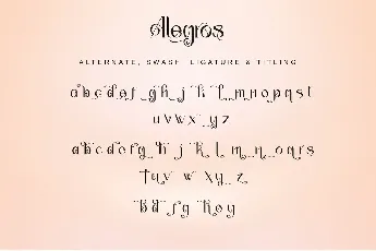 Alegros-Personal use font