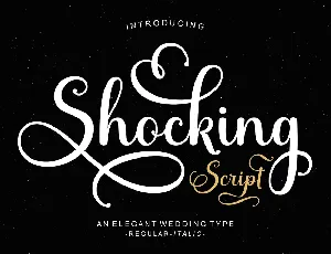 Shocking Script font