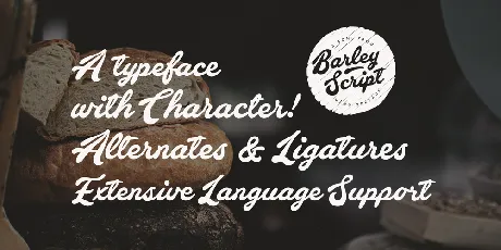 Barley Script PERSONAL USE font